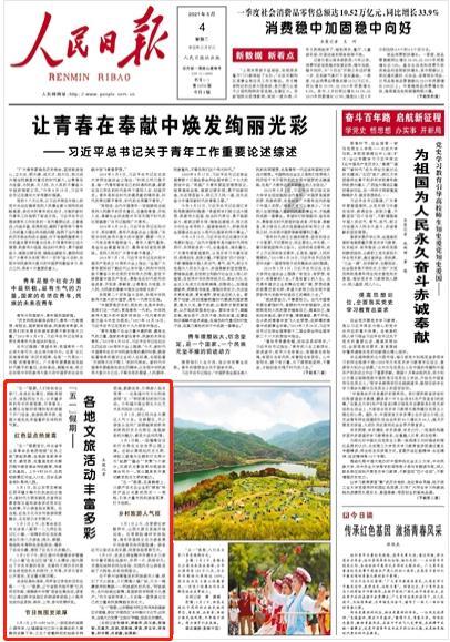 逃离梦想之家