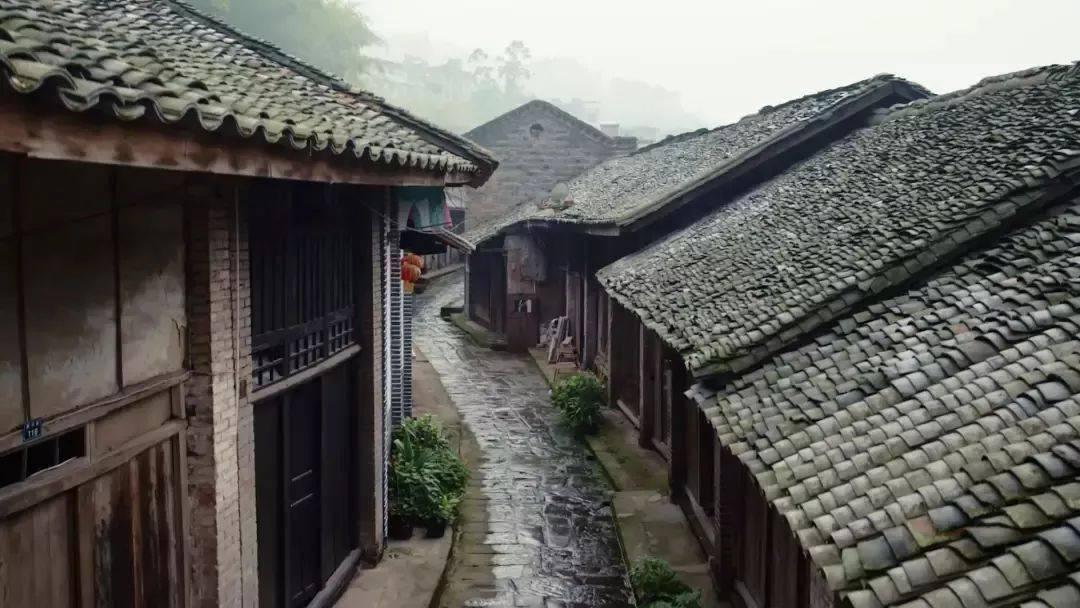 年轻人在疫情下怎么停止自身摆烂的状态?知识问答网页-尽享全方位知识交流